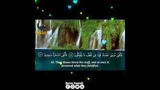 Quran Kareem | Islamic Quran WhatsApp Status | Islam Sobhi