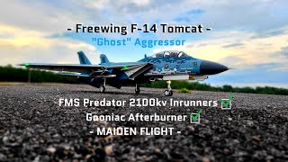 Freewing F-14 Tomcat - Ghost Aggressor - FMS Predator 2100kv Inrunners - Maiden Flight - 1080p 60FPS