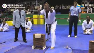 2015 World Taekwondo Hanmadang  Knife Hand Breaking Senior 3 1st IRI JALAL FESHANGSAZ AGHDAM