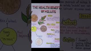 Health Benefits of millets science project 6 std ||☺️☺️||