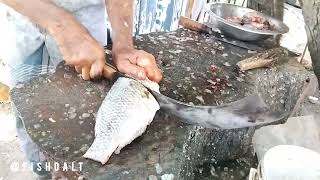 Woow!! amazing srilanka fishcutting Fishcutting man skill FAST and expert And attractive #trending