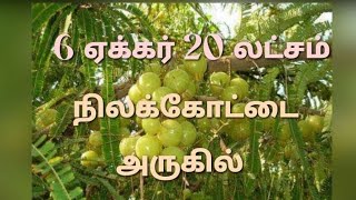 🌍9600525601🌍திண்டுக்கல் மாவட்டம் நிலக்கோட்டை அருகில் 6 ஏக்கர் 30 சென்ட் விவசாய நிலம் விற்பனைக்கு