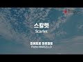 BIFF2022 감독 인사말 l 스칼렛 Scarlet l 피에트로 마르첼로 Pietro MARCELLO