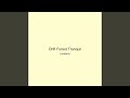 Drift Forest Tranquil