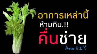 อาการเหล่านี้..ห้ามกิน คื่นช่าย ขึ้นฉ่าย |Arin D.I.Y♡EP.105