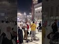 madina stall hajj2025 saudiarabia naat newnaatsharif2024 makkahlive madinalive shorts umrah