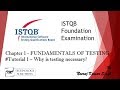 ISTQB Foundation Level Certification 2011 | 1.1 Why is Testing Necessary?