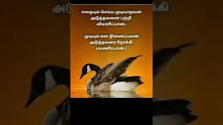 முடியும் என நினைப்பவன்...!!!🙏♥️