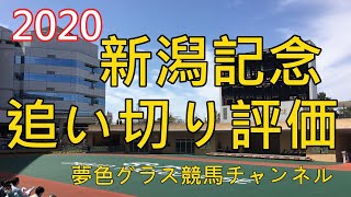 【追い切り評価】2020新潟記念！激戦予想のハンデ戦！追い切りの判断も非常に難しい？