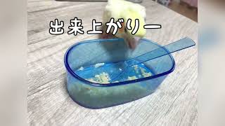 さし餌の作り方【オカメインコ、コザクラインコ】