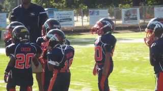 Forsyth County Tiny Mite Blue Broncos 2014