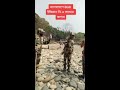 indian bsf vs bangladesh police bsf bsfstatus