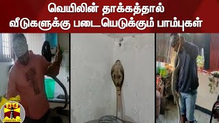 வெயிலின் தாக்கத்தால் வீடுகளுக்கு படையெடுக்கும் பாம்புகள் | Snake | Summer