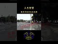 曾老建议小孩从小这样教 shorts 修行 开悟 觉醒 智慧