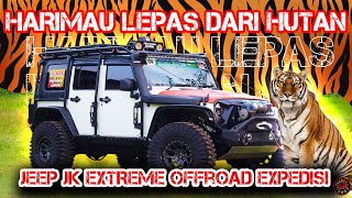 KONSEP MODIFIKASI JEEP JK SPORT XTREME OFFROAD EXPEDISI |  SEBELUM OFFROAD PERHATIKAN INI DULU!!!