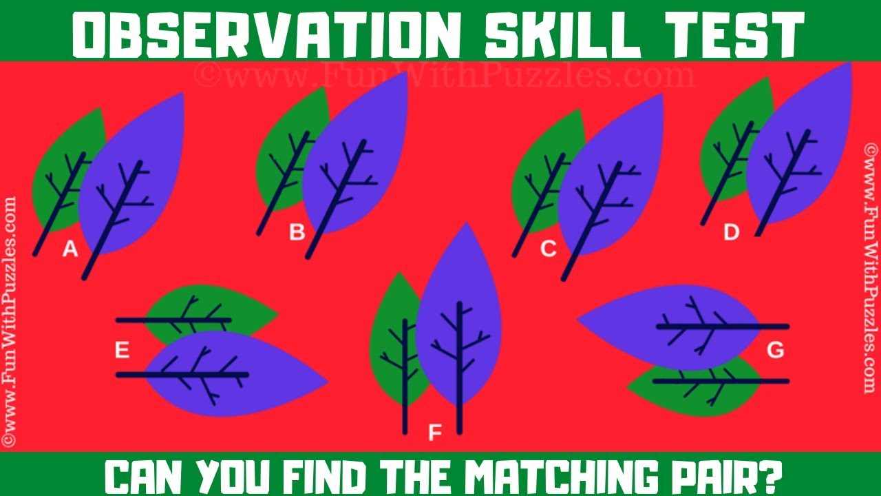 Observation Test Pictures