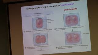 1-22Bio241 Lecture4Part3