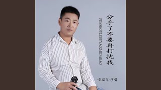 分手了不要再打扰我 (DJ默涵男版)