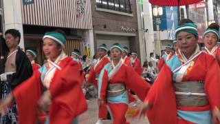 俵屋グループ　　第63回よさこい祭り本祭2日目　帯屋町筋競演場　４K　2016．8．11