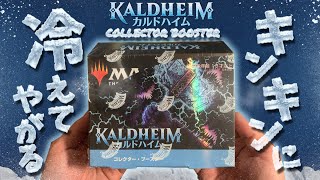 【MTG投資部】カルドハイムコレクターブースターを開封したら衝撃のラストが…!!【開封動画】