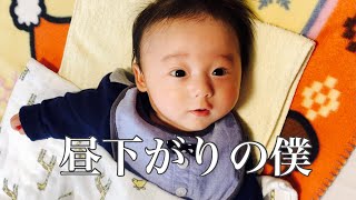 昼下がりの僕　生後2ヶ月赤ちゃん　Japanese baby