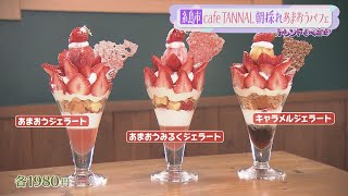 【糸島市】cafe TANNAL 朝採れあまおうパフェ【トレンドふくおか】【アサデス。】