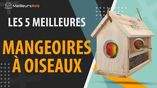 ⭐️ MEILLEURE MANGEOIRE À OISEAUX - Avis \u0026 Guide d'achat (Comparatif 2021)