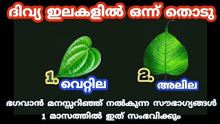 Thodukuri. ഭഗവാൻ മനസ്സറിഞ്ഞ് നൽകുന്ന സൗഭാഗ്യങ്ങൾ 1 മാസത്തിൽ ഇത് സംഭവിക്കും. തൊടുകുറി