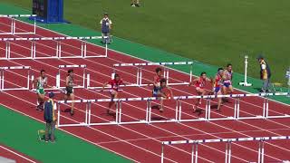 H29　えひめ国体　少年共通男子110mH　準決勝1組