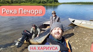 Дорога на север. Республика Коми.