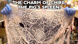 The charm of Chire, the pig's spleen.