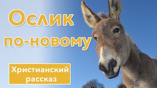 🔵 Ослик по новому - ИНТЕРЕСНЫЙ ХРИСТИАНСКИЙ РАССКАЗ | Христианские рассказы