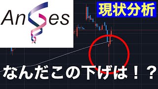 【 アンジェス 】なんだこの下げは！？株価が不安定--Anges