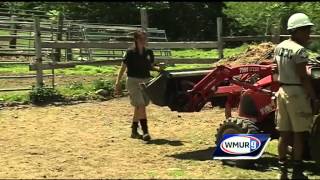 Volunteers enjoy time at rescue farm