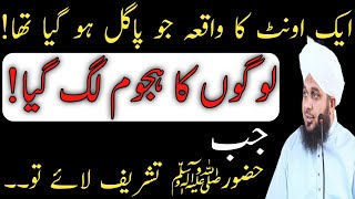 Aik Pagal Ounth Ka Waqia || Peer Ajmal Raza Qadri || New Bayan 2022 || DILBAR E MADINA