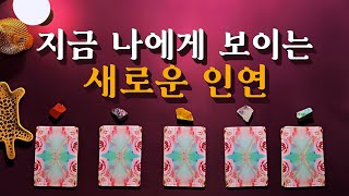 [타로카드] 지금 나에게 보이는 특별한 인연 🧞