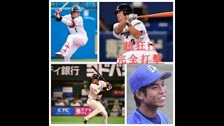 2018 NPB日本職棒兩聯盟 完全打擊合輯