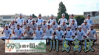 2018甲子園目指す31校 川島高校