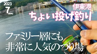 #38【ちょい投げ釣り】東伊豆 伊東港～魚種豊富～