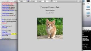 LaTex Tutorial 12: Inserting External Images