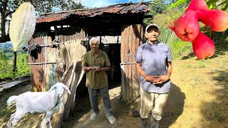 HISTORIA DEL CAMPO CON DOS HERMANOS QUE VIVEN SOLOS EN UN CAMPO MUY DIFÍCIL.La vida del campo 🇩🇴