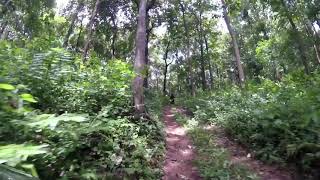 Konni to Achankovil off-road