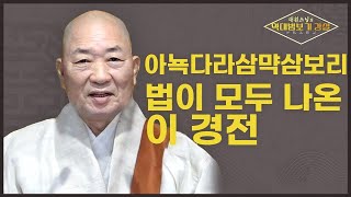 |대원스님|90.아뇩다라삼먁삼보리법이 모두 나온 이 경전#역대법보기강설 #부처님이후 정통 법맥을 이은 선사들의 이야기 #공주 학림사 #오등선원 #무주화상 #불교 #bbs