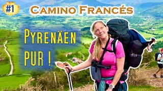 CAMINO FRANCES (1) – Diesen AUSBLICK müsst Ihr sehen! || JAKOBSWEG: Saint Jean Pied de Port/Orisson