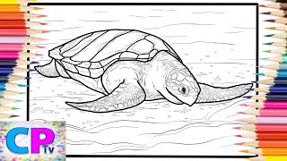 Sea Turtle Coloring Pages/Wild Turtle Coloring/Elektronomia - Summersong 2018 [NCS Release]