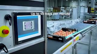 Pattern tray fruit labeling solution: Sinclair PL4+VRS