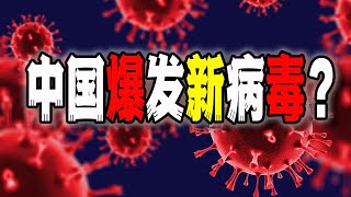 中國再爆病毒感染，不治概率高達43%？人偏肺到底是什麼情況？（2024-12-27第2379期）