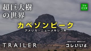 『超巨大樹の世界・予告』カベゾンピーク（アメリカ・ニューメキシコ州）　コレいいよ.JP