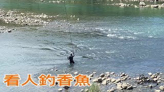 Creek fishing in Taiwan 青潭堰釣魚先看人釣香魚