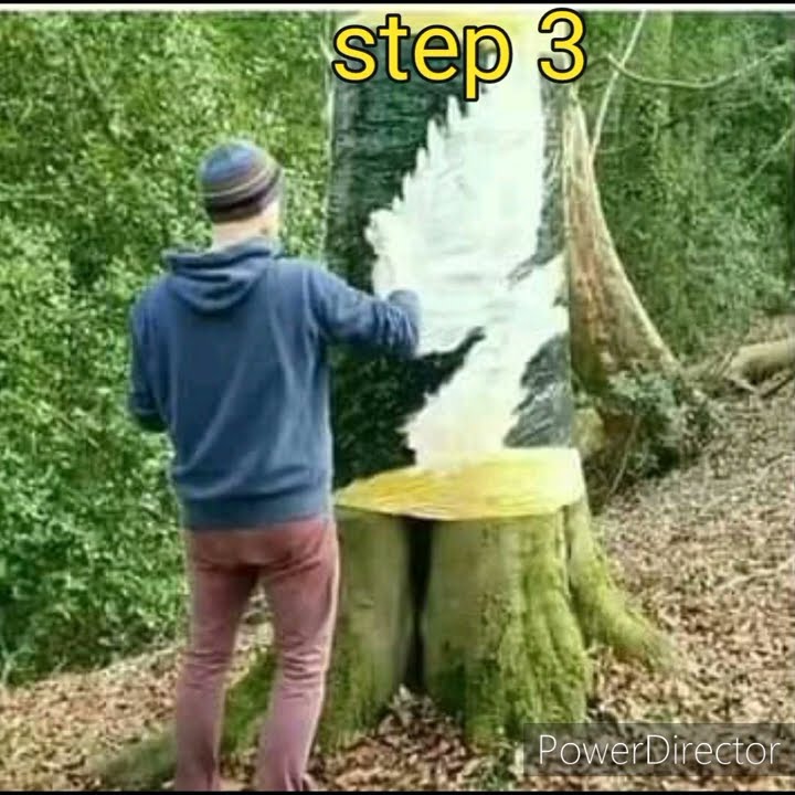 Shocking Art Ever Done Shorts Youtube